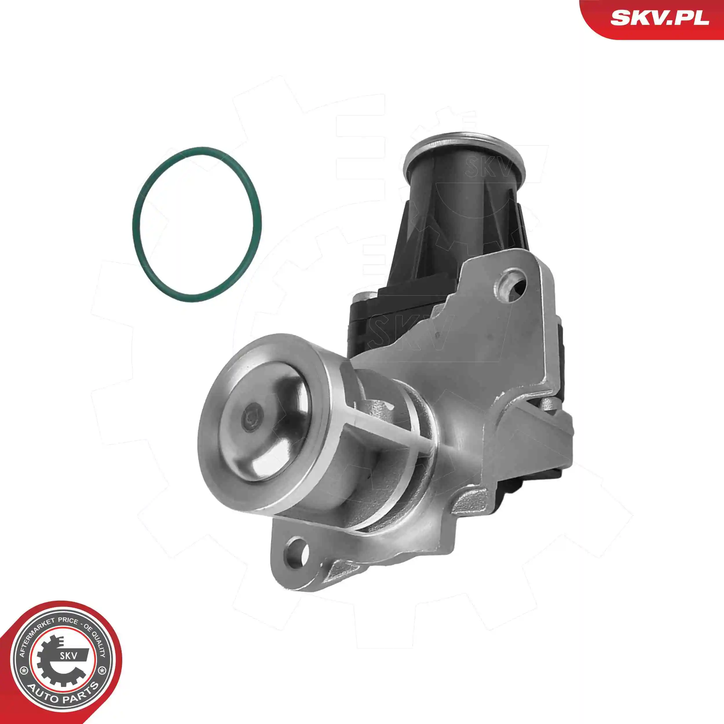 EGR Valve
